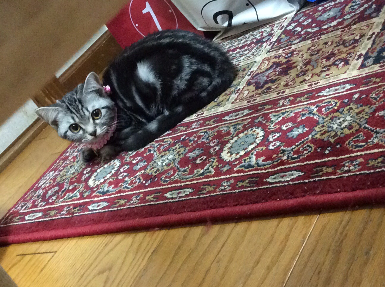f0305995_0373418.jpg