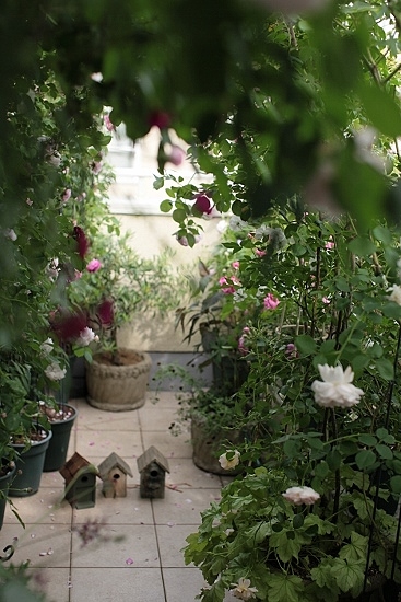 e0209997_1512624.jpg