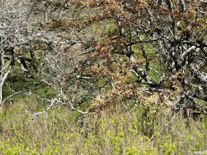 f0224100_2126484.jpg