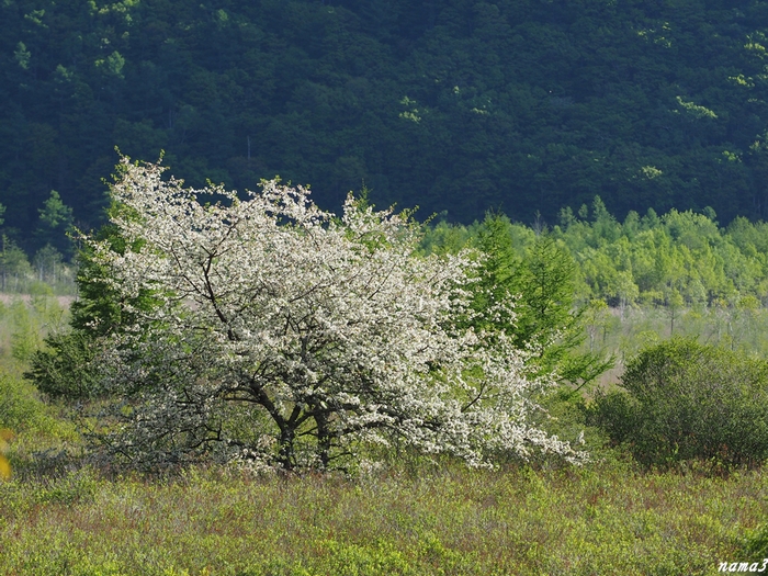 f0224100_2127844.jpg