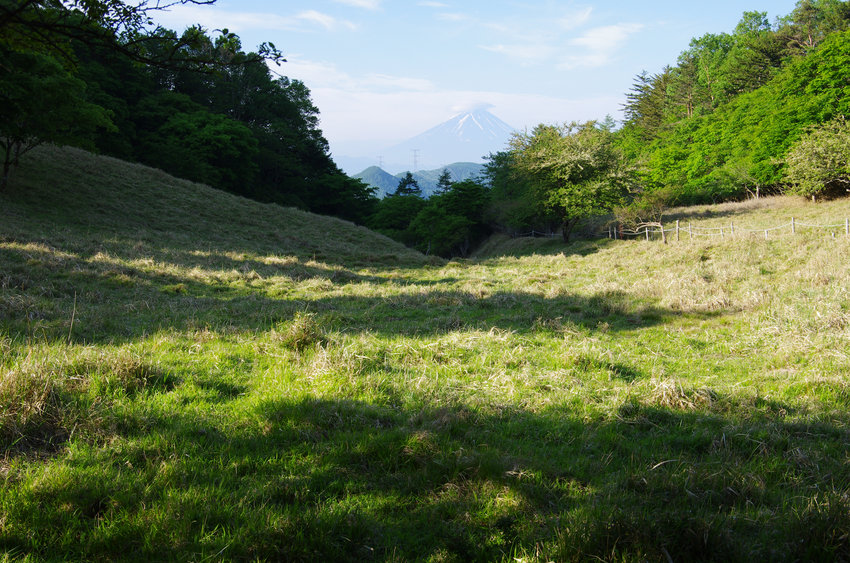 a0158802_9391327.jpg