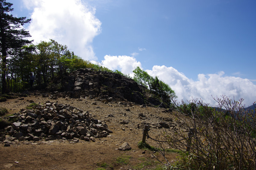 a0158802_9432111.jpg