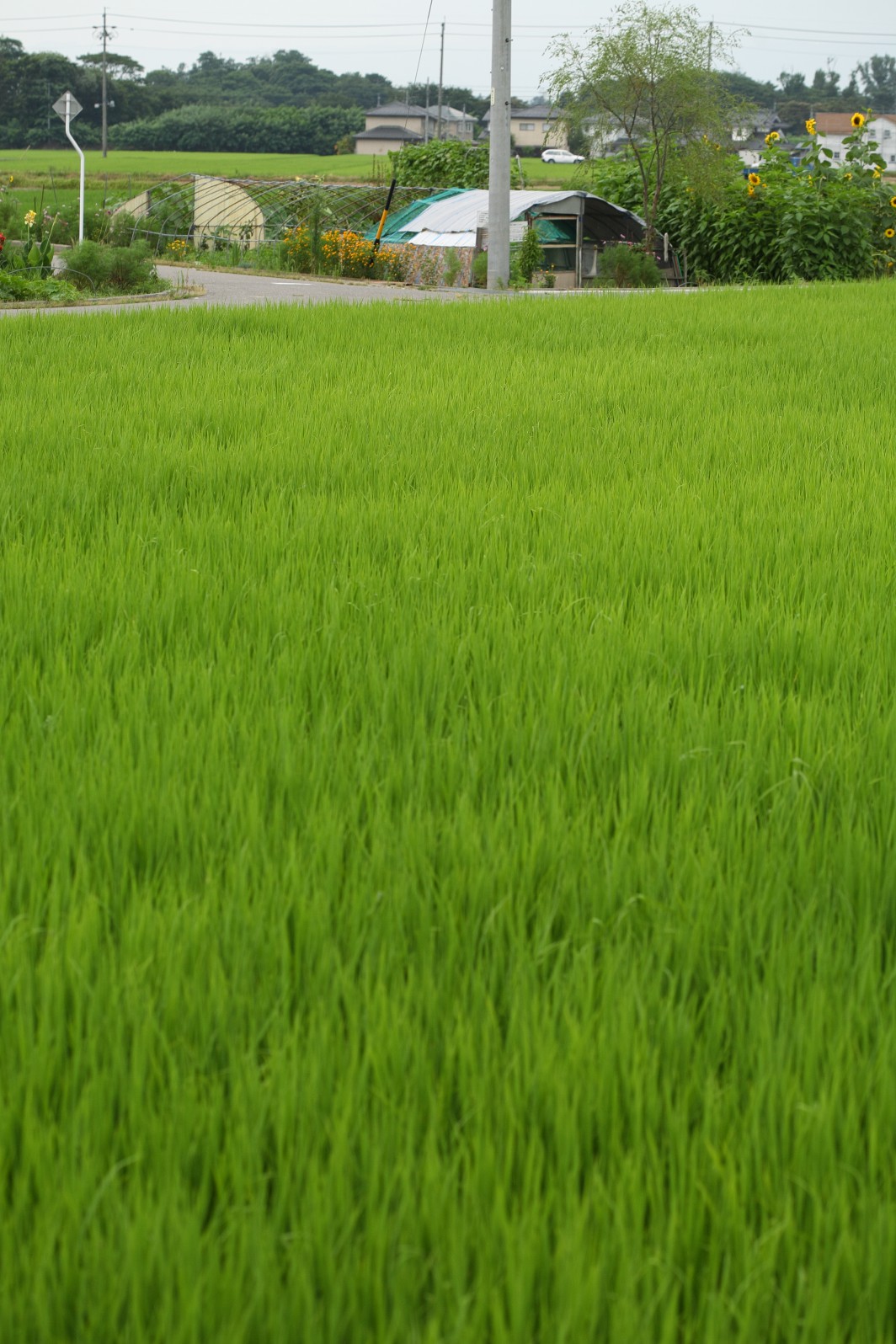 a0155104_211326.jpg