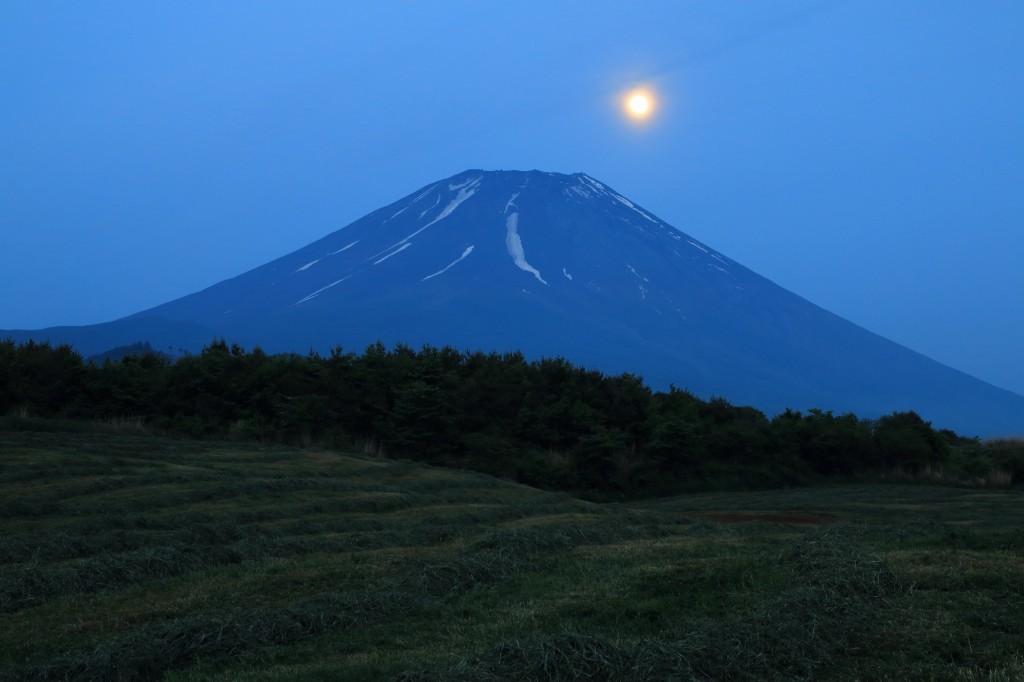 a0188405_10452539.jpg