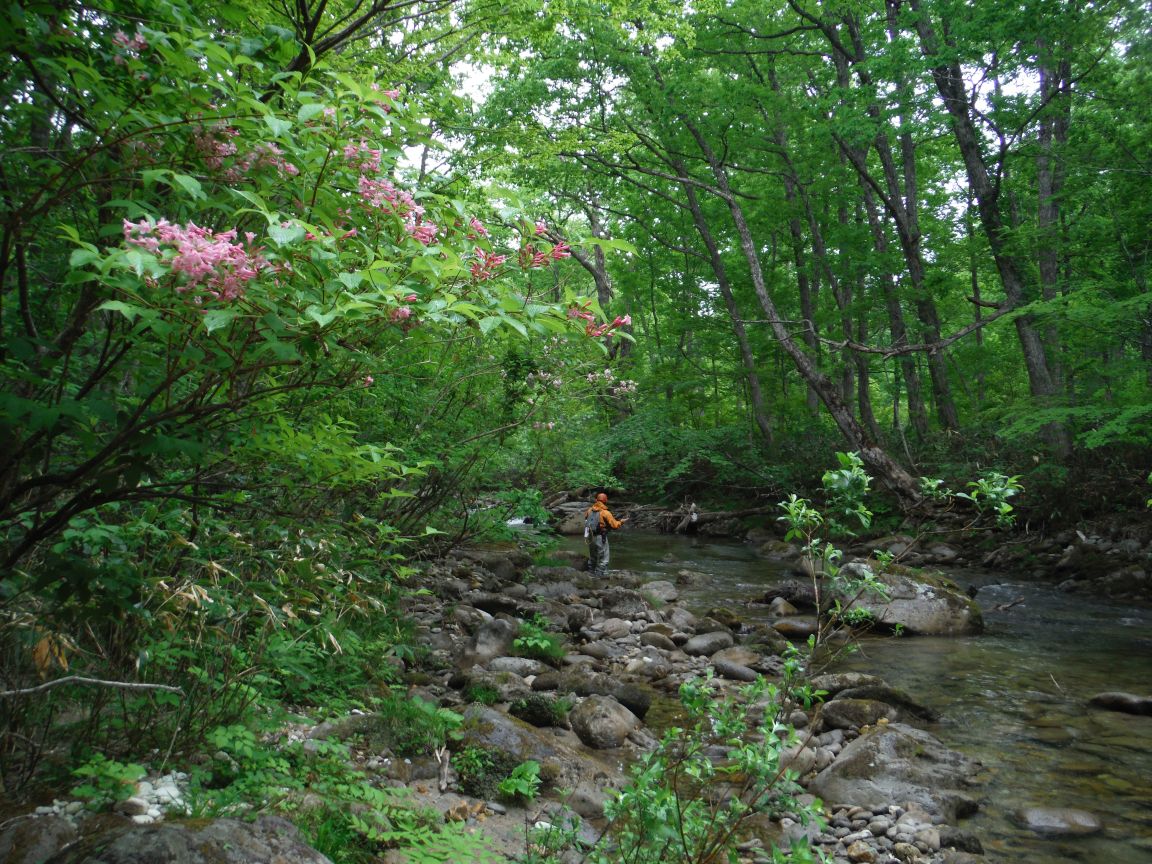 b0172805_254796.jpg