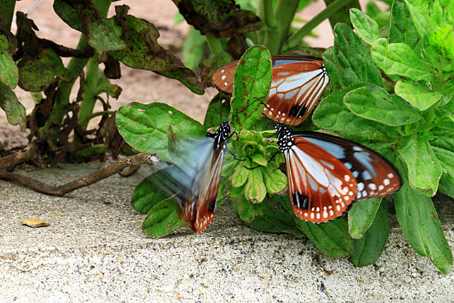b0014607_21504519.jpg