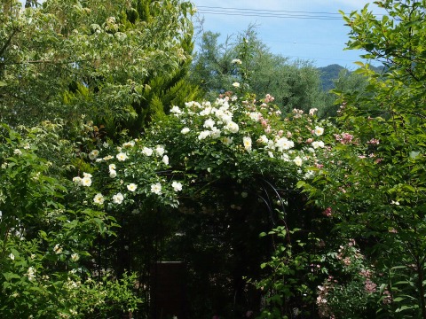 c0117007_20343757.jpg