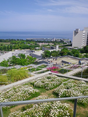b0102728_9343276.jpg