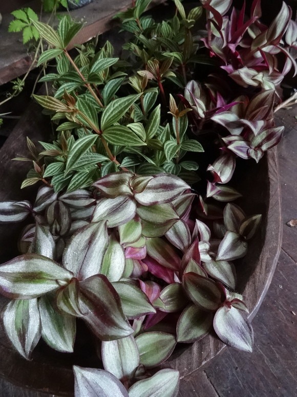 c0102228_2115260.jpg