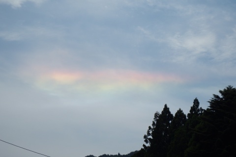 f0118332_21295685.jpg