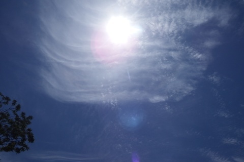 f0118332_21305561.jpg