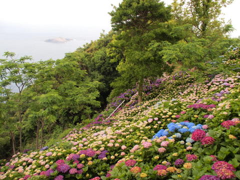 b0199742_2233677.jpg