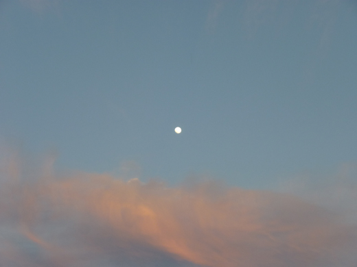 c0225153_0102364.jpg