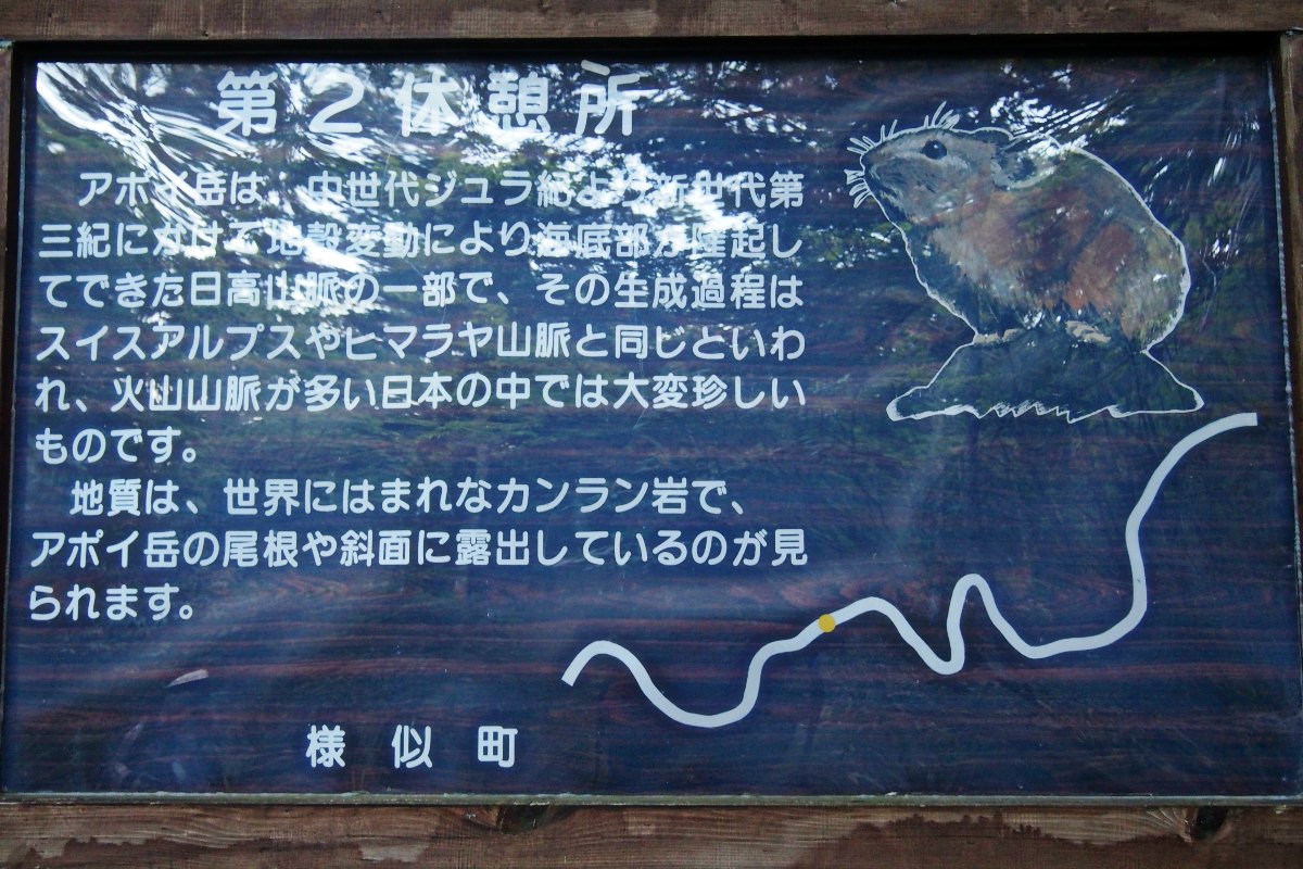 e0105954_1538113.jpg