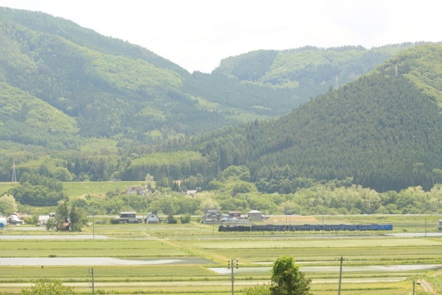 c0251759_20005974.jpg