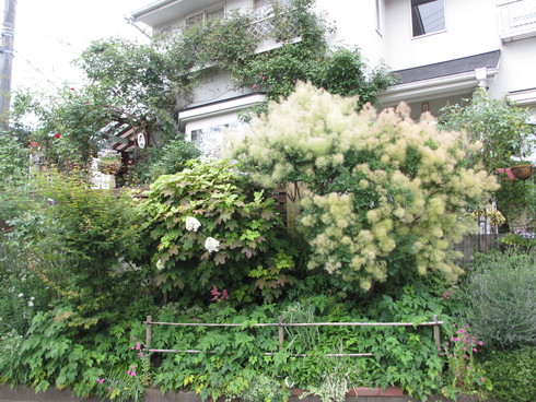 a0243064_17362189.jpg