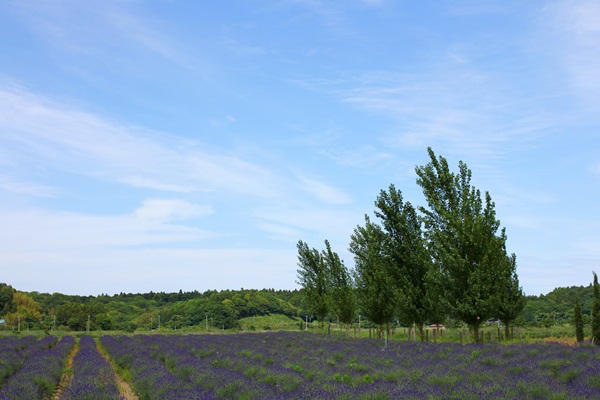 e0177190_005415.jpg