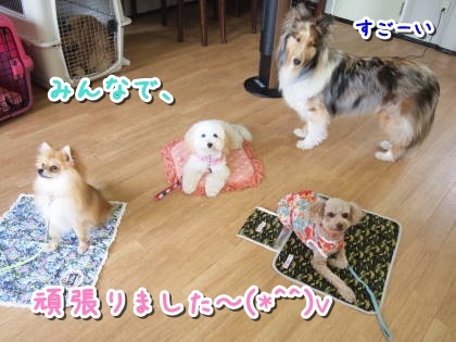 a0338800_08502163.jpg