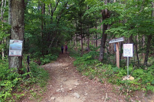 e0137200_21152033.jpg
