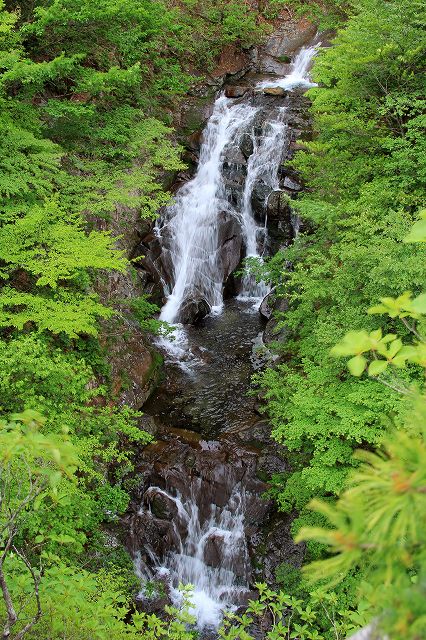 e0137200_211695.jpg