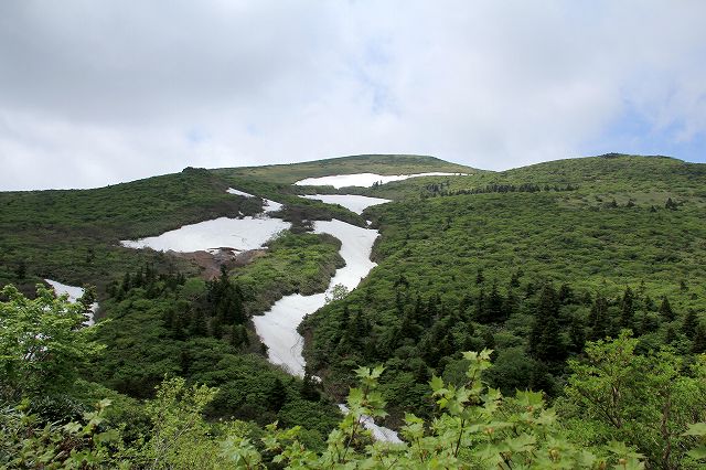 e0137200_21253583.jpg