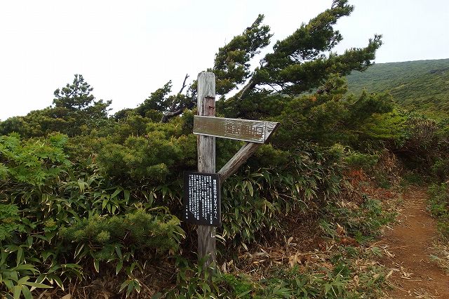 e0137200_2125482.jpg
