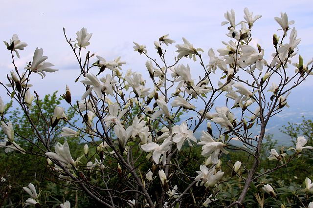 e0137200_21265138.jpg