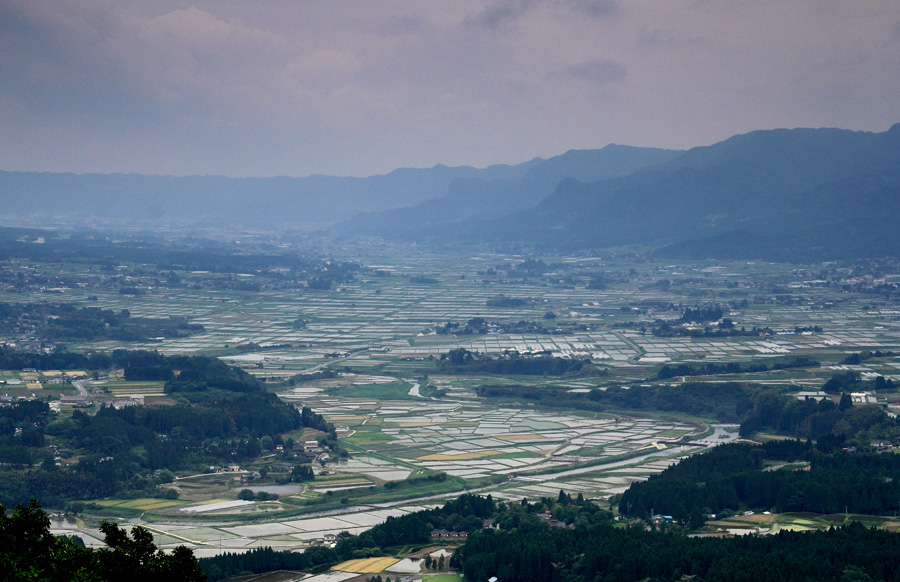 e0093903_11492233.jpg
