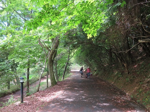 c0175715_17511041.jpg