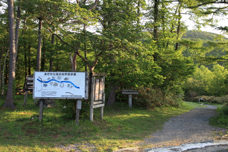 c0369219_16475765.jpg