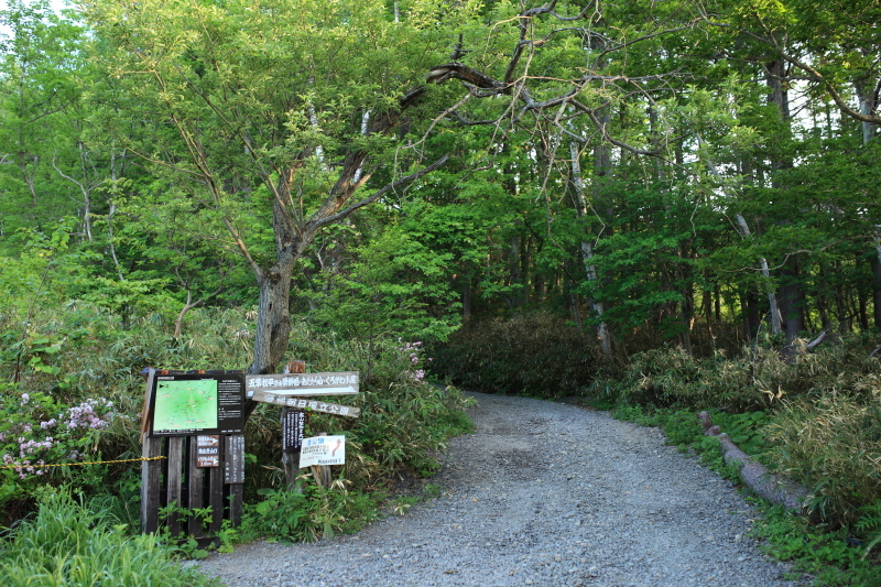 c0369219_16492857.jpg
