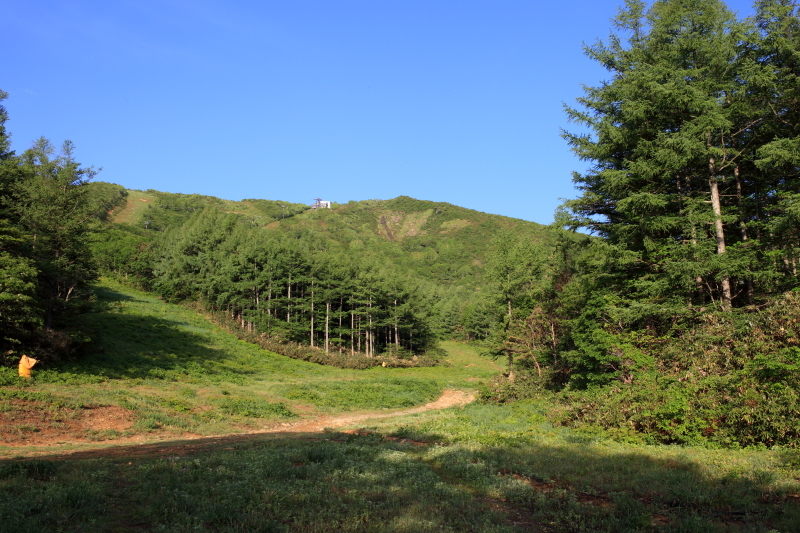 c0369219_17003470.jpg