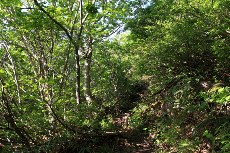 c0369219_18381399.jpg