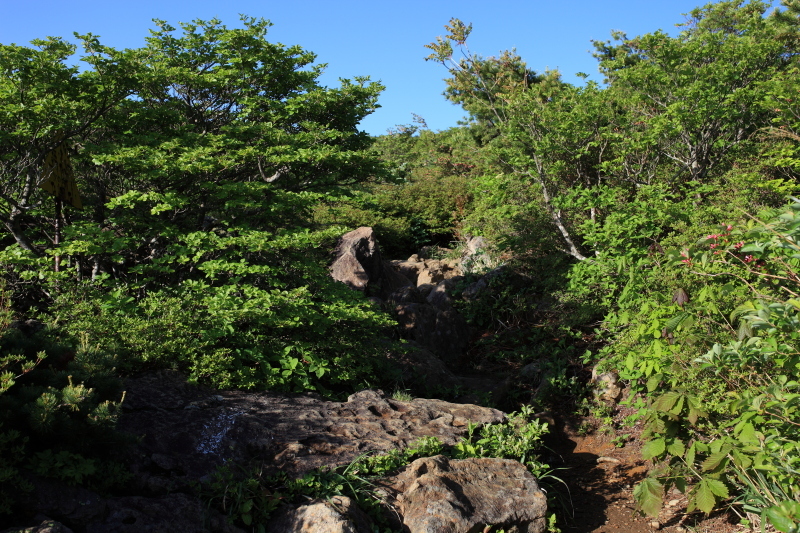 c0369219_18451555.jpg