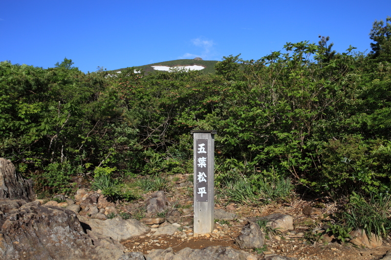 c0369219_18535044.jpg