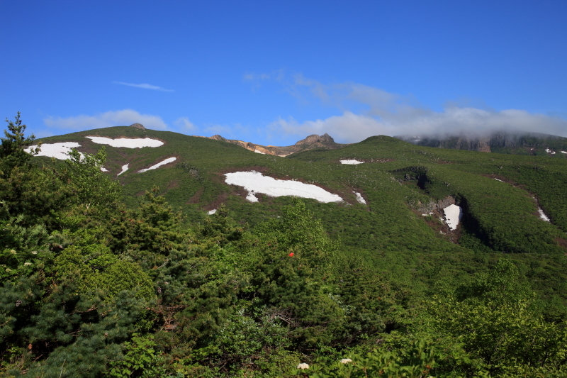 c0369219_19233628.jpg