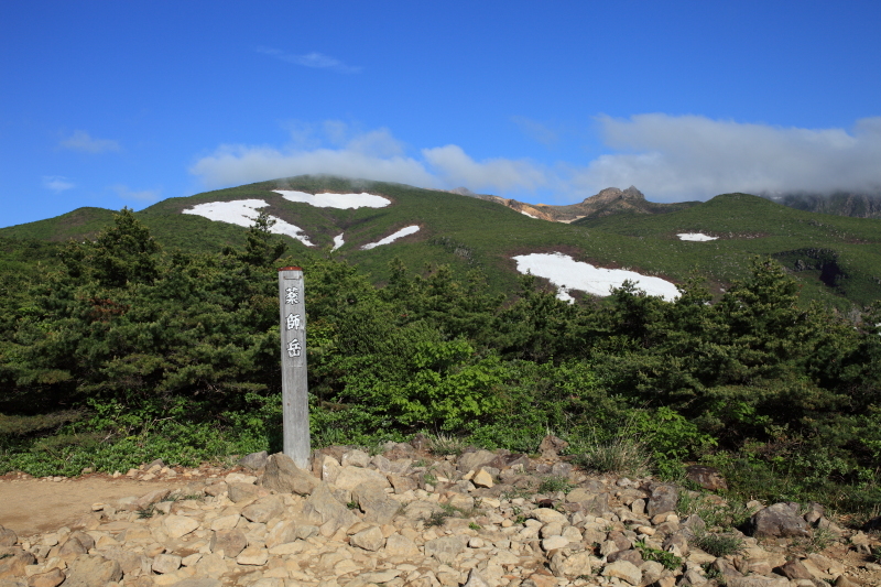 c0369219_20154070.jpg
