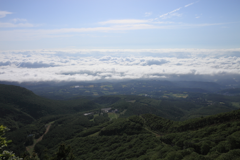 c0369219_20232792.jpg