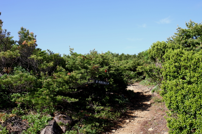 c0369219_21164125.jpg