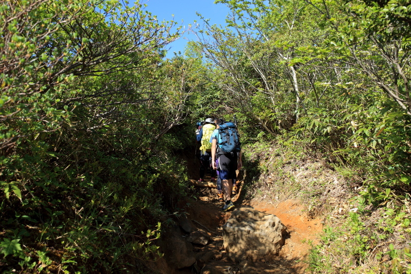 c0369219_21441043.jpg