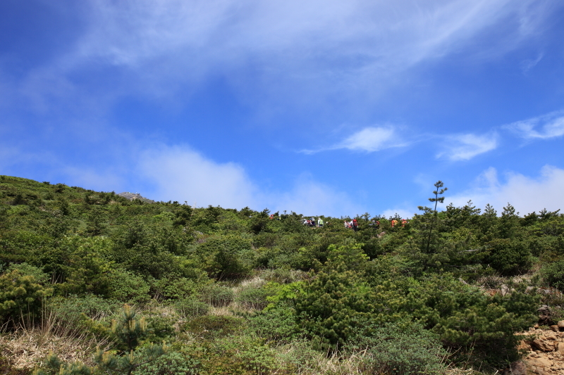 c0369219_22053090.jpg