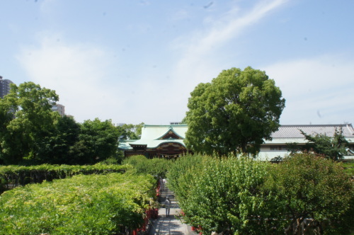d0004728_16585625.jpg