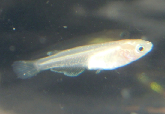 e0097534_16101125.jpg