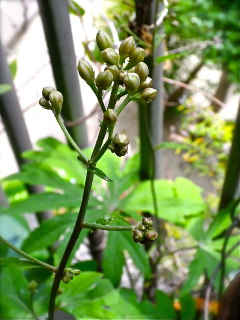 b0027736_2062253.jpg