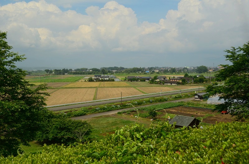 b0288942_915067.jpg