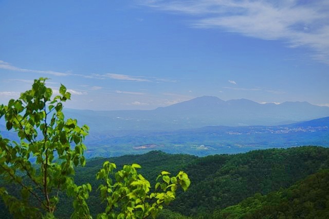 b0122448_20542525.jpg
