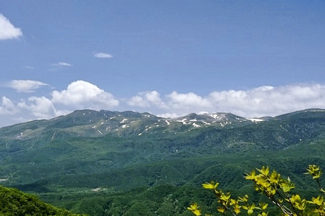 b0122448_21210987.jpg