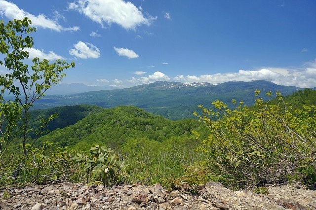 b0122448_21460971.jpg