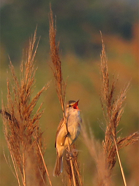 f0214649_629070.jpg