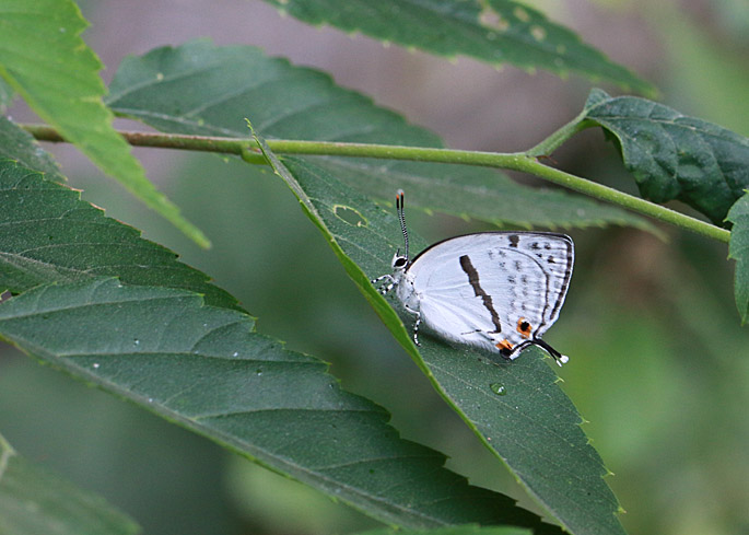 d0146854_2116117.jpg